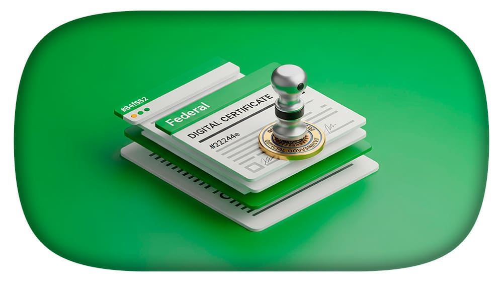 Imagem ilustrativa de como emitir a Certidão Negativa Federal